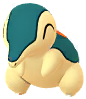Cyndaquil