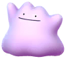Ditto (Spring 2026 B)