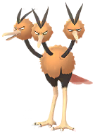 Dodrio