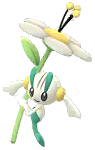 Floette (White)