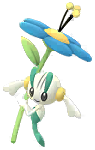 Floette