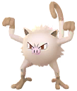 Mankey