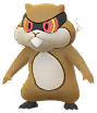 Patrat
