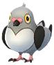 Pidove