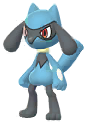 Riolu