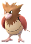 Spearow