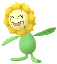 Sunflora