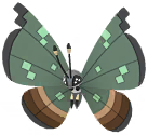 Vivillon (Jungle)