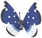 Vivillon (Polar)