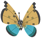 Vivillon (River)